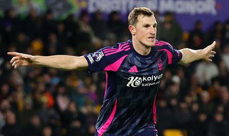 国安迅速组 国安迅速组